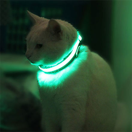 Зеленый светящийся светодиодный ошейник для собак S