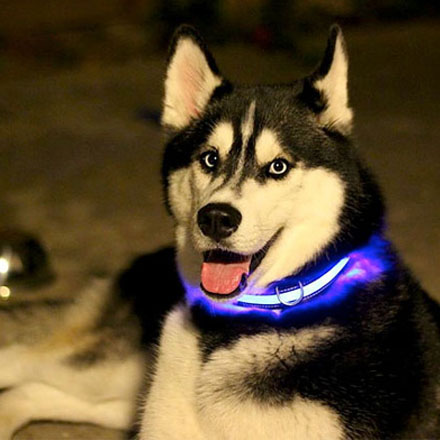 Синий светящийся светодиодный ошейник для собак L